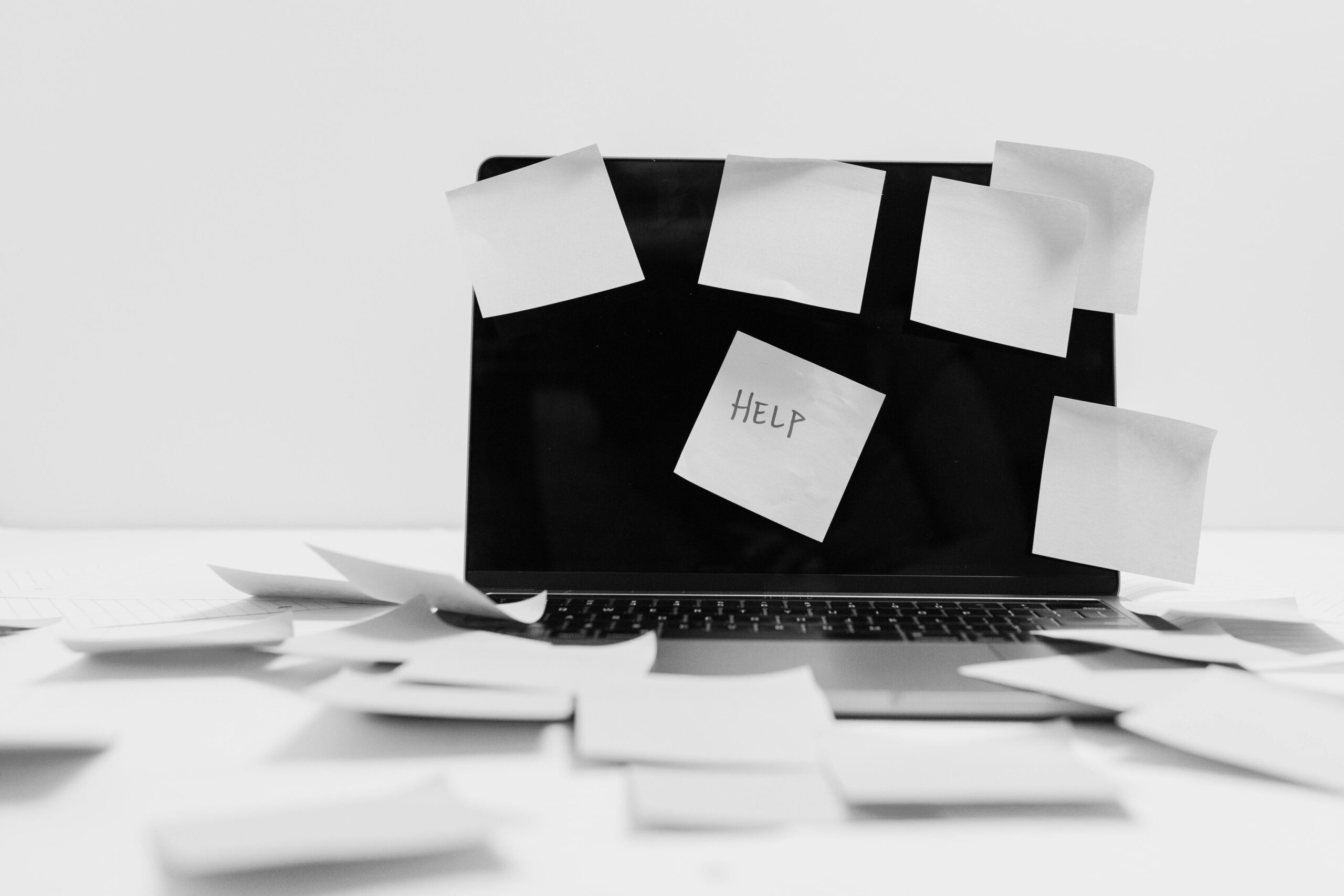 CLIENTS NON TECHNIQUES EN INFORMATIQUE